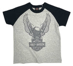 Harley-Davidson® Little Boys' Colorblocked Short Sleeve Raglan Toddler Tee - Gray