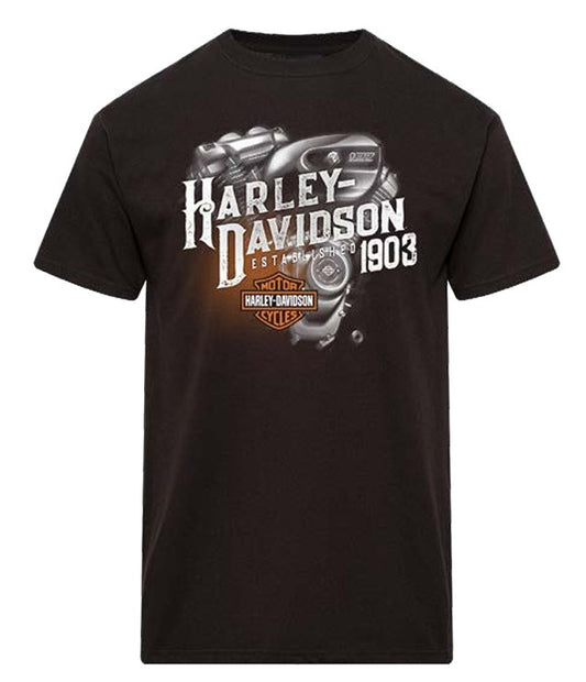 Harbour City Dealer Tee - Evolve - 40294775