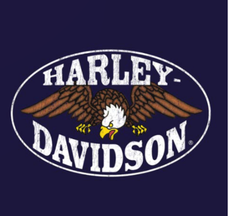 Harley-Davidson® Men’s GYRE NAVY Dealer Tee 40294945