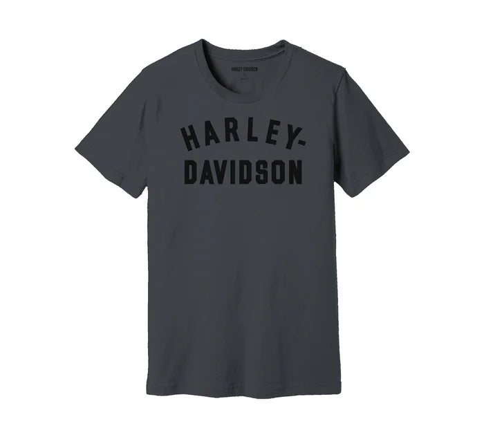 MEN'S Harley-Davidson STAPLE TEE 99069-22VM
