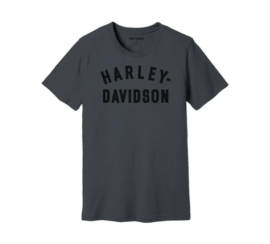 MEN'S Harley-Davidson STAPLE TEE 99069-22VM